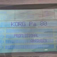 org pa50 sd|پیانو، کیبورد، آکاردئون|تبریز, |دیوار