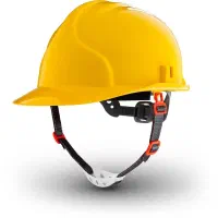 همکاری با استادکار میکروسمنت کار