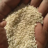 برنج نیمدانه