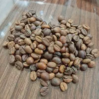 فروش دانه قهوه