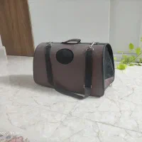 ساک یا کیف حمل سگ و گربه