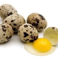 تخم بلدرچین