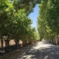 ۱۲۰۰مترباغ۲برجوان زیربار/معاوضه باماشین/دهبوره راه