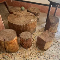 فروش چوب گردو