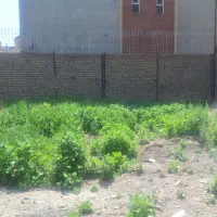 فروش زمین در طوس ۳۳ کشف