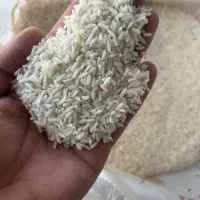 برنج رز فاخر / نقد چک/ اردبیل تناژ