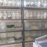 واگذاری عطاری باکلیه لوازم سوال نپرسیدهمه چی از دم
