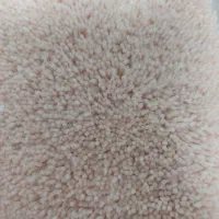 پالاز موکت پرز بلند