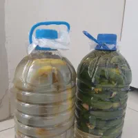 خیار شور چهارلیتری