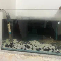 اکواریوم
