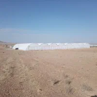 فروش-گلخانه-سیفی