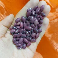لوبیا قرمز بوجاری شده