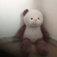 خرس بزرگ