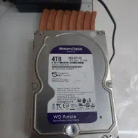هارد وسترن دیجیتال 4ترابایت