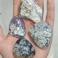 ۴ قطعه شجر کلکسیونی بهاره فردوس