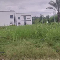 باغبانی طراحی هرس درخت کاری و سم پاشی