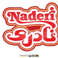 ویزیتور شرکت نادری