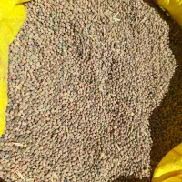 گاودانه برای فروش