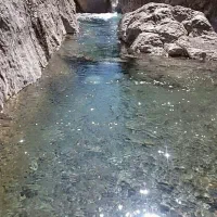 تور یکروزه