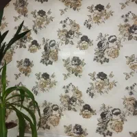 پرده زبرا