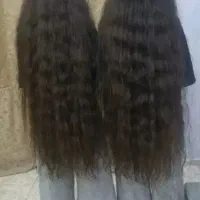 نمایندگی خرید و فروش مو طبیعی و رنگی