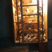 گنجه بزرگ ۷۰تا هم راحت جا میشه
