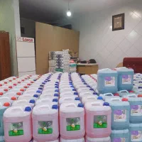شوینده بهداشتی گرین فمیلی