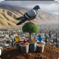 زیل کبوتر