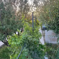 مغازه ۴۰ متری