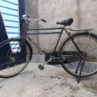 دوچرخه سه مار مدل فونیکس