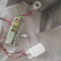 لامپ رشد و گلدهی