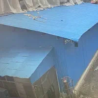 فروش بچه سوله در اشتهارد