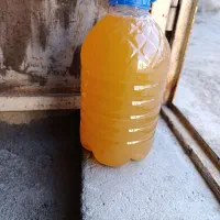 آبغوره امسال