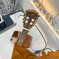 گیتار حرفه ایی گرید مستر