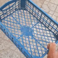 سبد گیلاس و آلبالو