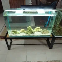 اکواریوم شیشه خم یک متری ده میل