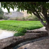 تمه درجه یک
