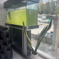 آکواریوم با تمام امکانات