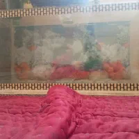 آکواریم و پمپ هباب ساز