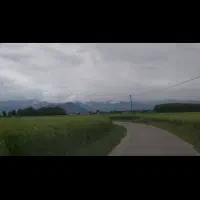 زمین-شالیزاری-فروشی-بهترین-لوکشین