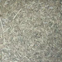 گندم ۳۰ کیلو