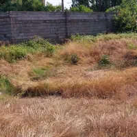 زمین مسکونی ۳۳۰ متری فریدونکنارنامجو