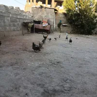 ۱۰ عدد کوچک وبزرگ