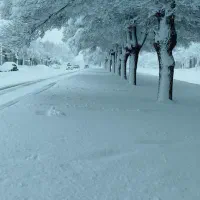 اجاره-80-متری-اشکاوند