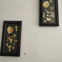 قاب عکس