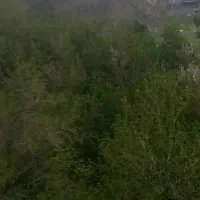 باغ مشجر طرقبه