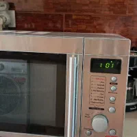 ماکروفرمگافورس
