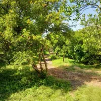 ۴۵۰ متر باغ + بنای کلنگی غیره قابل استفاده