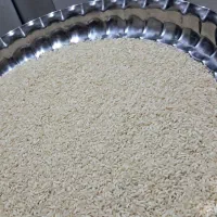 برنج عنبر صددرصد خالص خوشبو خوشپخت شرطی ببر
