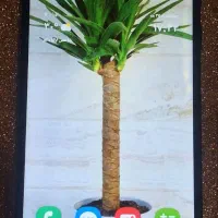 گوشی سامسوسنگ A05 اکبند